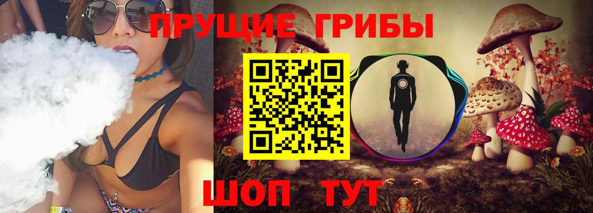 Галлюциногенные грибы Psilocybine cubensis  Вход с VPN  Светлоград  Псилоцибиновые грибы мицелий 