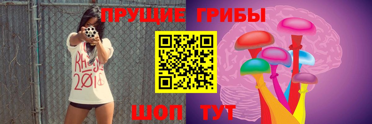 Псилоцибиновые грибы MAGIC MUSHROOMS Светлоград